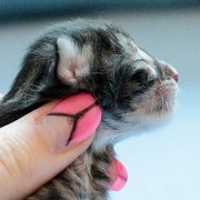 Wendy, 1 day