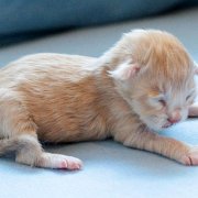 Virgil, 1 day