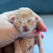 Virgil, 1 day
