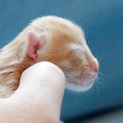 Virgil, 1 day