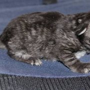 Wendy, 2 semaines
