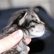 Wendy, 2 semaines