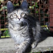 Wendy, 3 months 