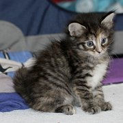 Wendy, 5 weeks 