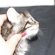 Wendy, 5 weeks 