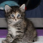 Wendy, 5 weeks 