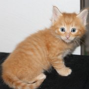 Willow, 5 weeks 