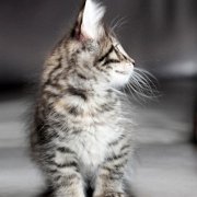 Wendy, 9 weeks 