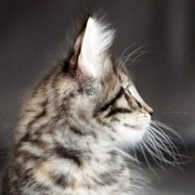 Wendy, 9 weeks 