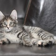 Wendy, 9 weeks 