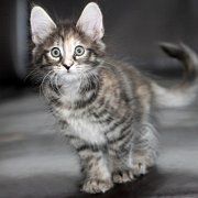 Wendy, 9 weeks 