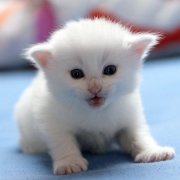 Vanora, 3 weeks