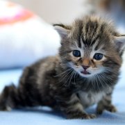 Wardee, 3 weeks