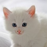 Vianca, 5 weeks