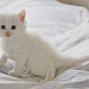Vianca, 5 weeks