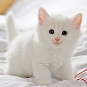 Whitley, 5 weeks