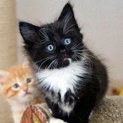 Wichita, 8 weeks