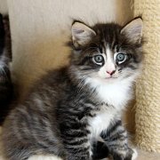 Wintu, 8 weeks