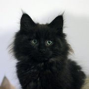 Vera, 10 weeks