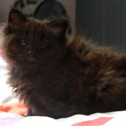 Vera, 6 weeks
