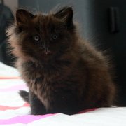 Vera, 6 weeks