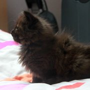 Vera, 6 weeks