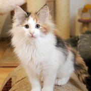 Winona, 11 weeks