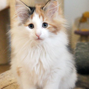 Winona, 11 weeks