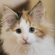 Winona, 11 weeks
