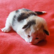Winona, 2 weeks