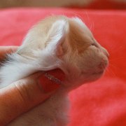 Winnie Cooper, 2 weeks