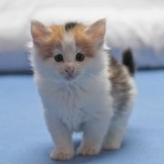 Winnie Cooper, 6 weeks