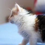 Winnie Cooper, 6 weeks
