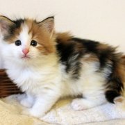 Winona, 6 weeks