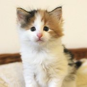 Winona, 6 weeks