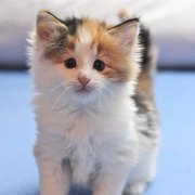 Winona, 6 weeks