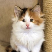 Winona, 7,5 weeks