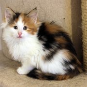 Winona, 7,5 weeks