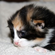 Xarina, 2 weeks