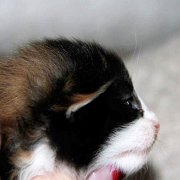 Xarina, 2 weeks