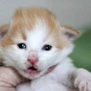Xolotl, 2 weeks