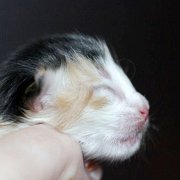 Zora, 1 jour