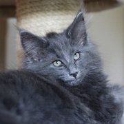 Yamuna, 11 weeks