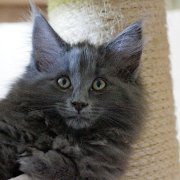 Yamuna, 11 weeks