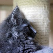 Yamuna, 11 weeks