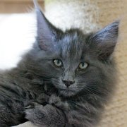 Yamuna, 11 weeks