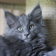 Yamuna, 11 weeks