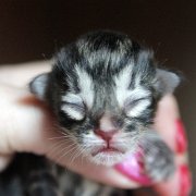 Yuma, 1 day