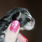 Yuma, 1 day