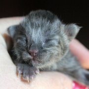 Yumiko, 1 day